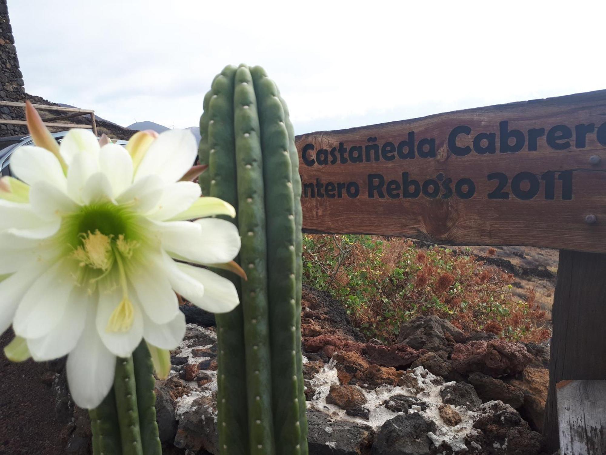 Pajero Cadenas